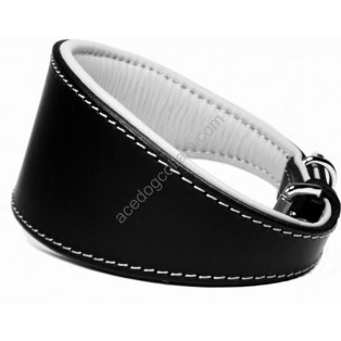 Ace Traditional Leather Dog Collar